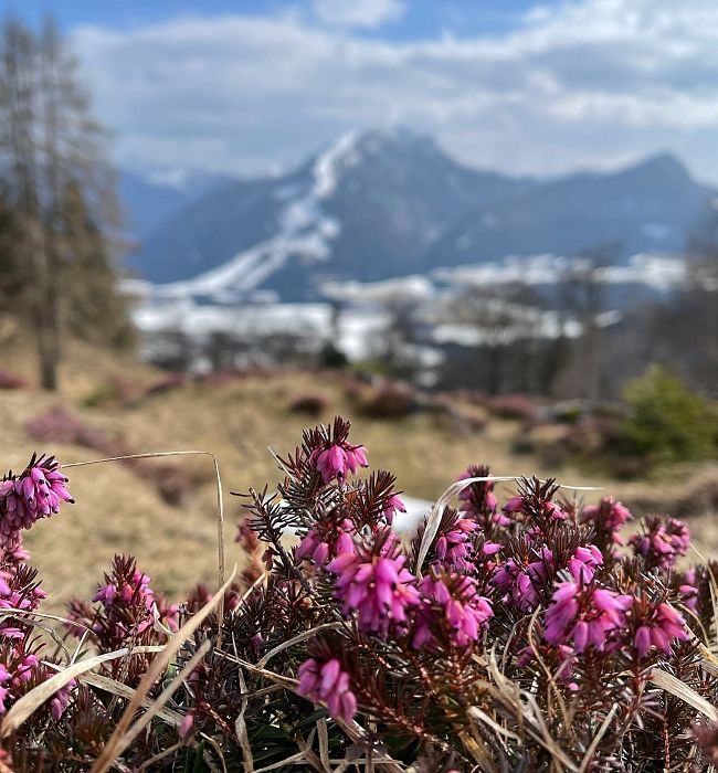 Frühlingserwachen!
